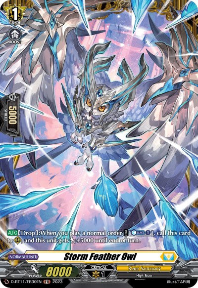 Storm Feather Owl (D-BT11/FR30EN) [Clash of the Heroes]